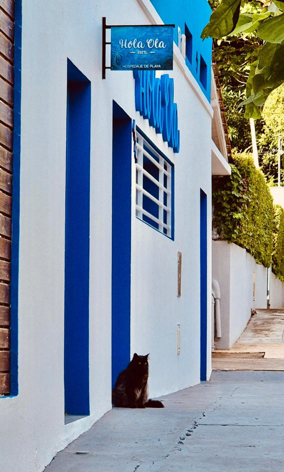 Hostel Hola Ola Villa Gesell Dış mekan fotoğraf